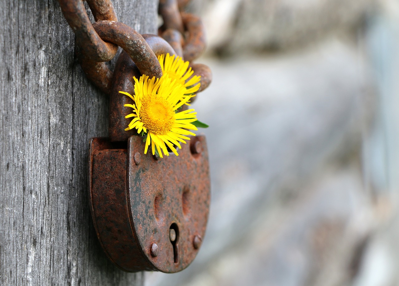 Decoding the Influence of Human Behavior on Safety